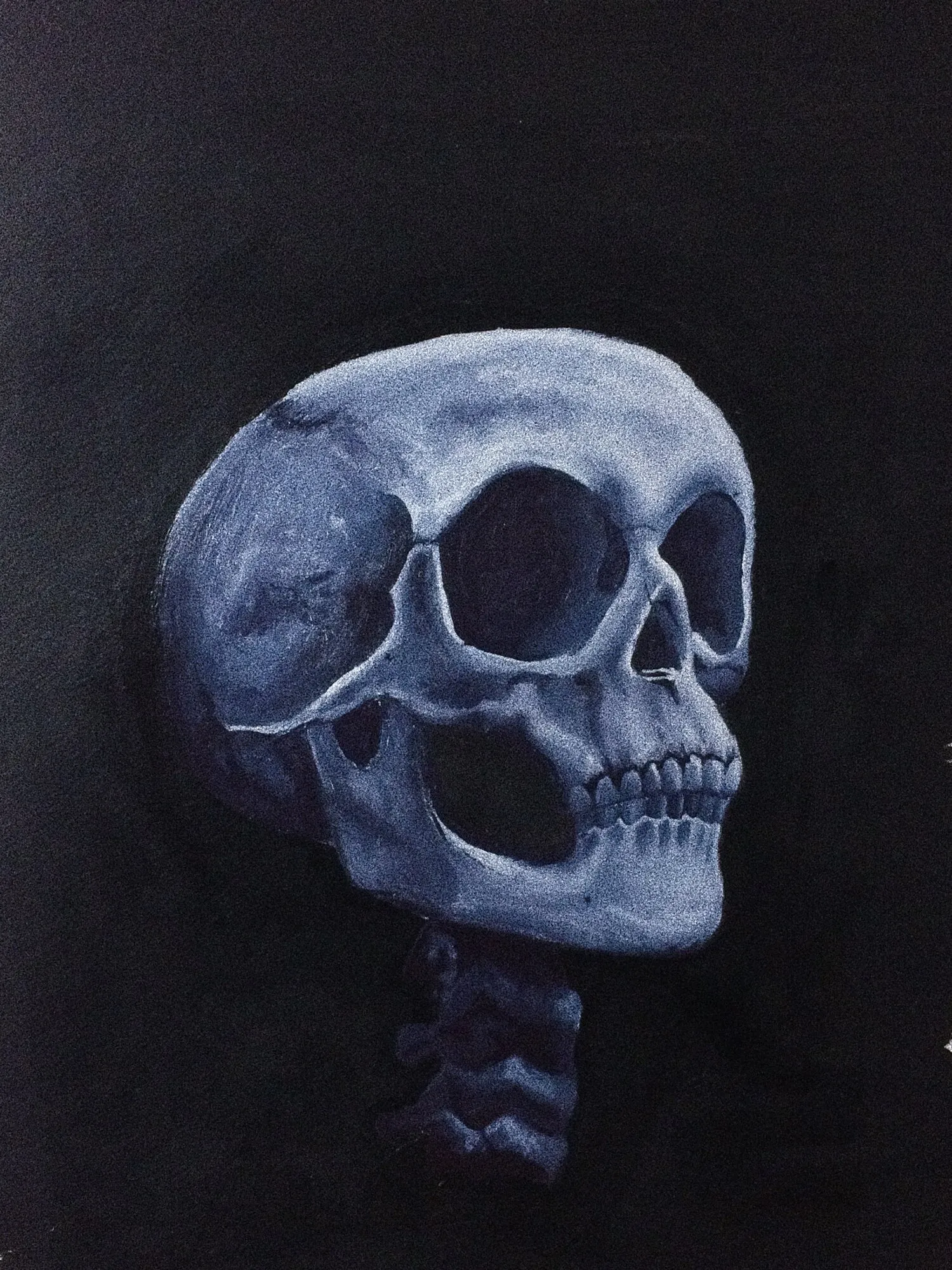 Pintura de una calavera azul pálido sobre fondo negro