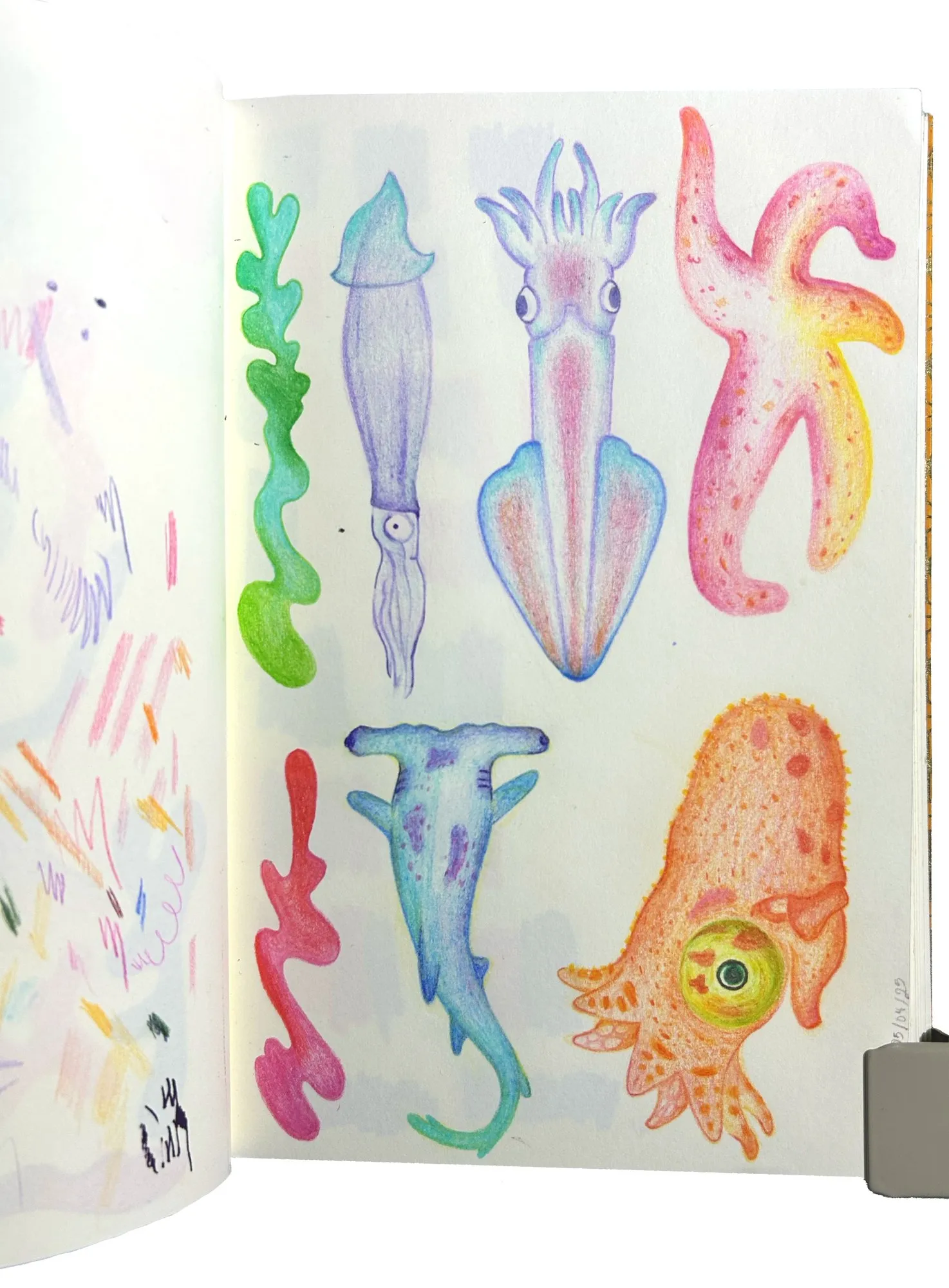 Libreta abierta con dibujos de calamares, estrellas y peces.