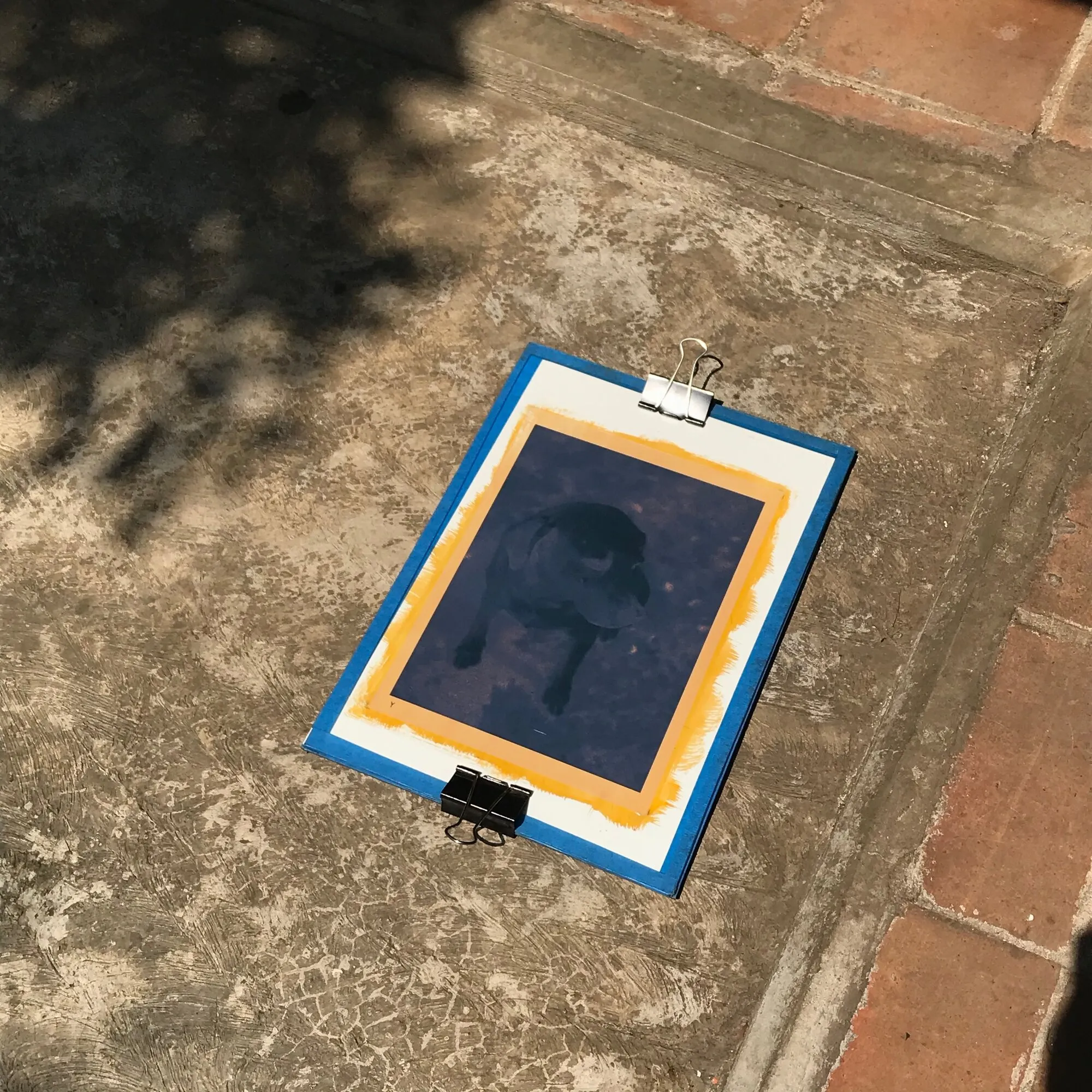 Papel emulsionado bajo un acetato, sujeto con clips a una tabla, expuesto al sol en el piso