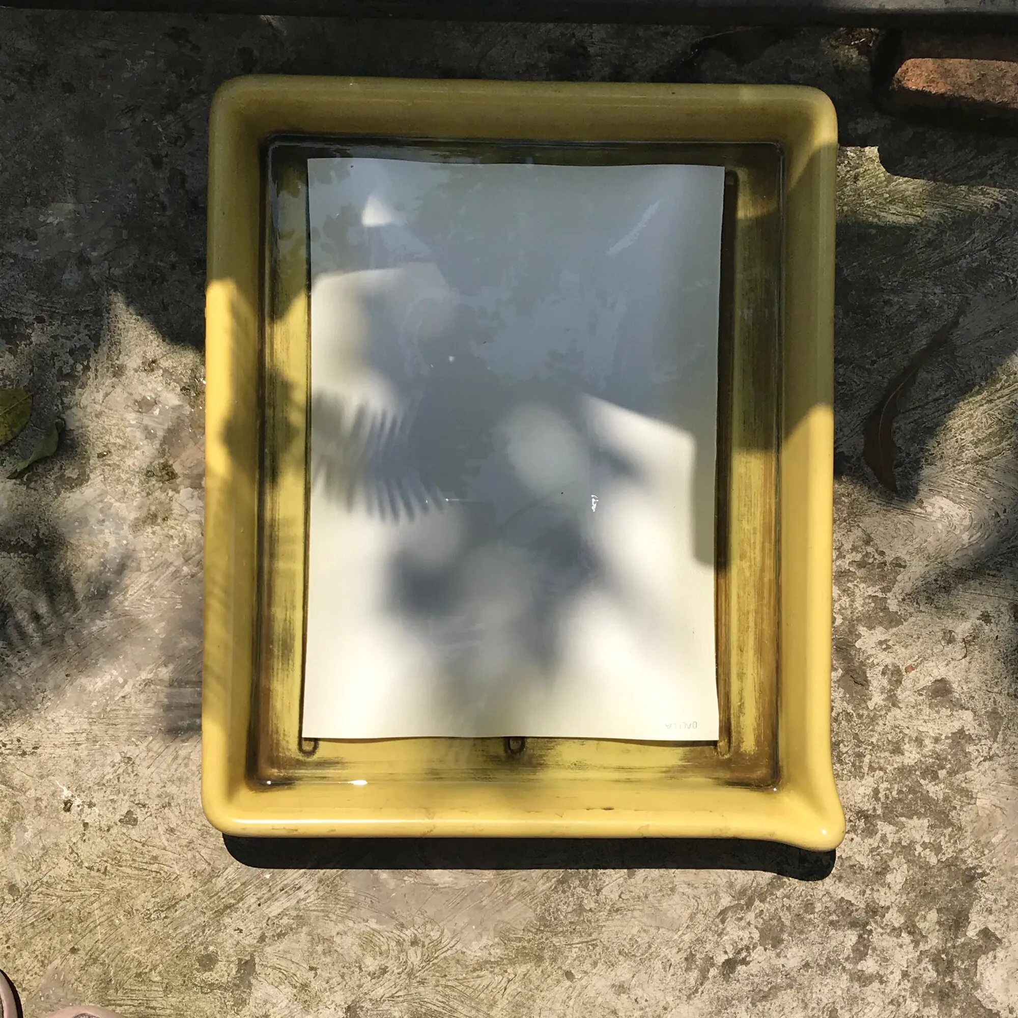 Papel dentro de una charola amarilla con agua