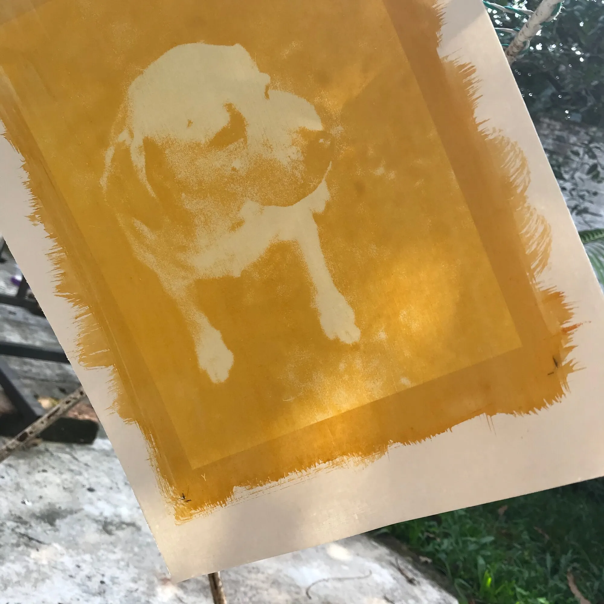 Impresión amarilla de un perro sobre papel, con bordes de brocha